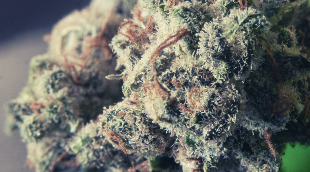 MiBiz: Barriers, opportunities persist in Michigan’s growing cannabis market