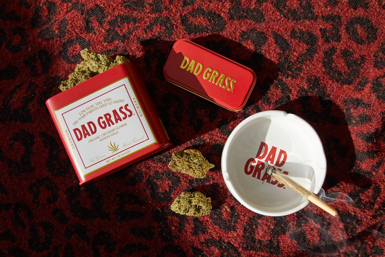 pexels-dad-grass-9575866