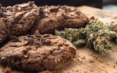 Cooking with Cannabis 101