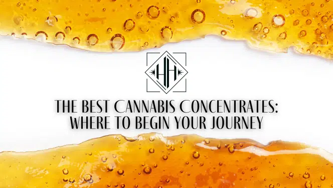 The Best Cannabis Concentrates: Where to Begin Your Journey